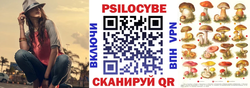 blacksprut ссылка  Тара  Псилоцибиновые грибы Magic Shrooms 